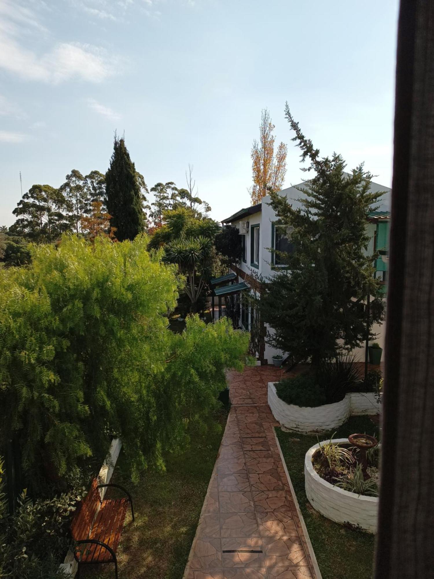 Apartamento Con Patio. Planta Baja, Max. 3.