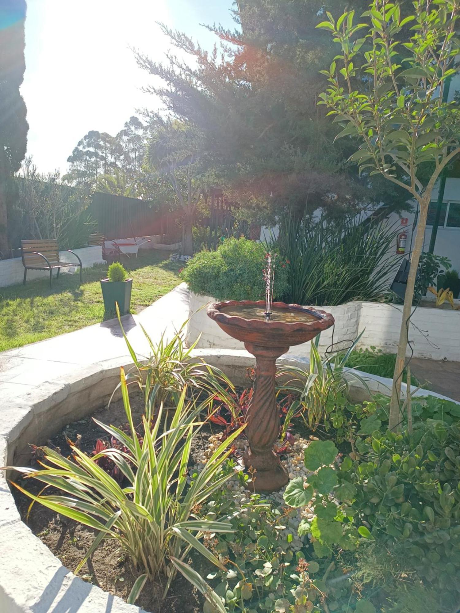 Apartment Con Patio. Planta Baja, Max. 3.
